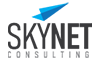 SkyNet Consulting | Ants Creation