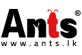 Ants Creation Company logo